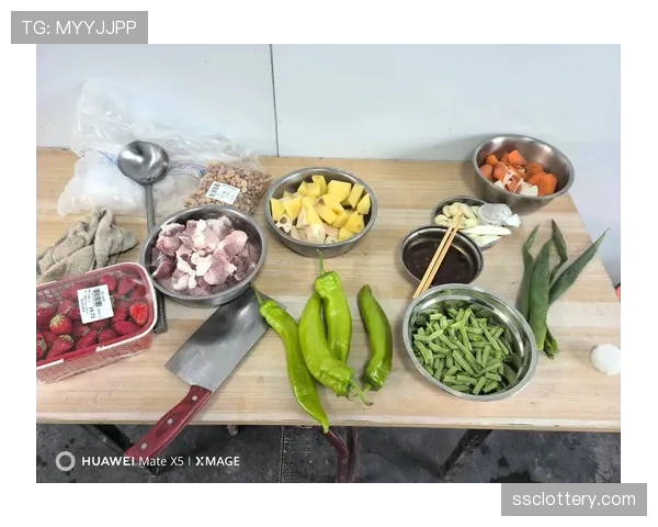 深度调查：小联盟球队伙食与住宿标准新政落实一年，球员生活条件显著改善