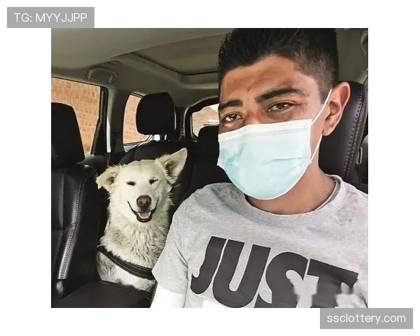 花絮：流浪狗闯入土超赛场，比赛中断十分钟